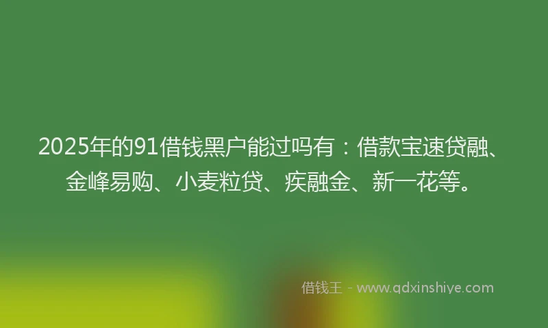 2025年的91借钱黑户能过吗有:借款宝速贷融、金峰易购、小麦粒贷、疾融金、新一花等。