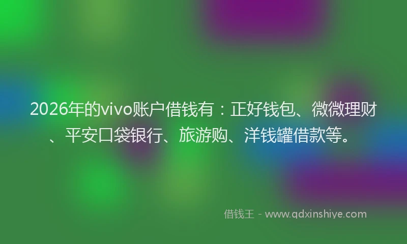 2026年的vivo账户借钱有：正好钱包、微微理财、平安口袋银行、旅游购、洋钱罐借款等。