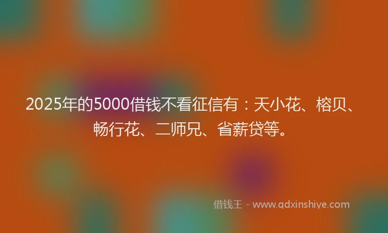 2025年的5000借钱不看征信有：天小花、榕贝、畅行花、二师兄、省薪贷等。