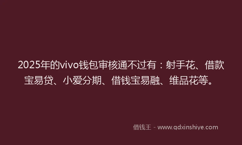 2025年的vivo钱包审核通不过有：射手花、借款宝易贷、小爱分期、借钱宝易融、维品花等。