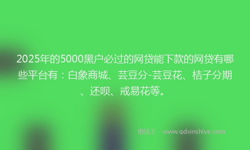 2025年的5000黑户必过的网贷能下款的网贷有哪些平台有:白象商城、芸豆分-芸豆花、桔子分期、还呗、戒易花等。