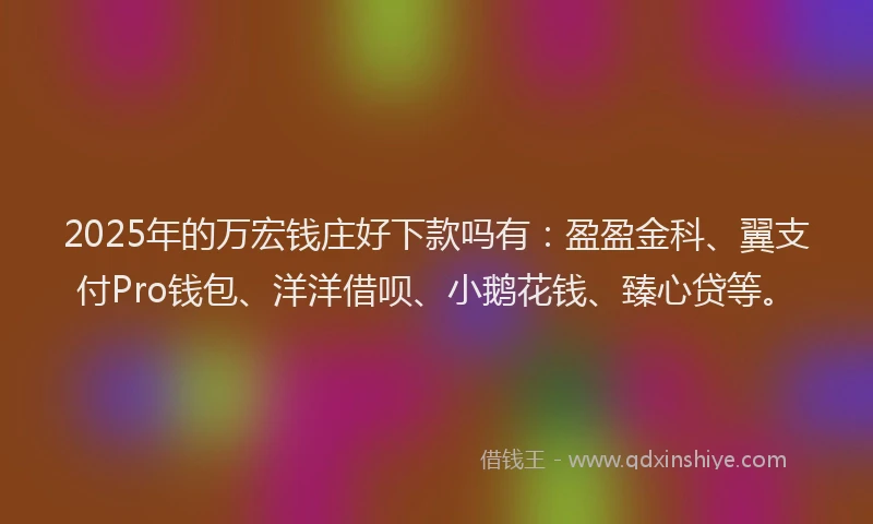 2025年的万宏钱庄好下款吗有:盈盈金科、翼支付Pro钱包、洋洋借呗、小鹅花钱、臻心贷等。