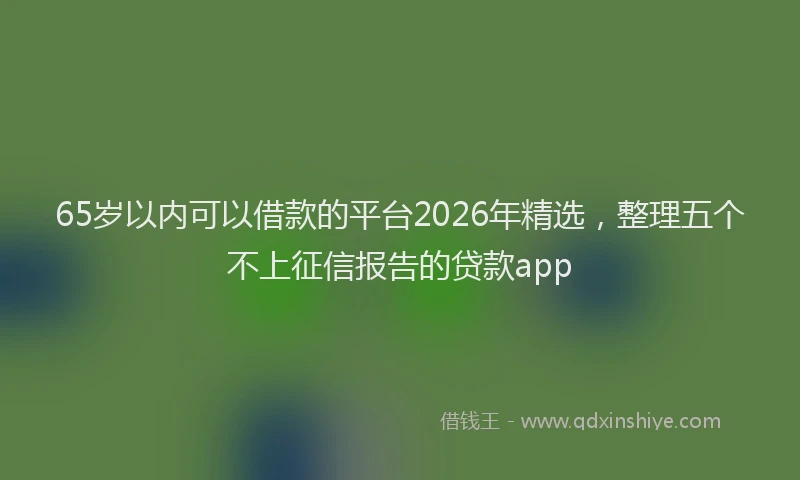 65岁以内可以借款的平台2026年精选，整理五个不上征信报告的贷款app