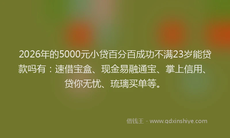 2026年的5000元小贷百分百成功不满23岁能贷款吗有：速借宝盒、现金易融通宝、掌上信用、贷你无忧、琉璃买单等。