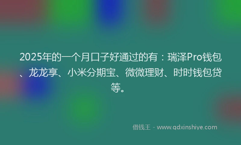 2025年的一个月口子好通过的有:瑞泽Pro钱包、龙龙享、小米分期宝、微微理财、时时钱包贷等。