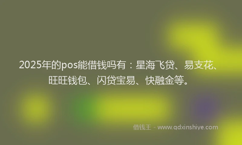 2025年的pos能借钱吗有:星海飞贷、易支花、旺旺钱包、闪贷宝易、快融金等。