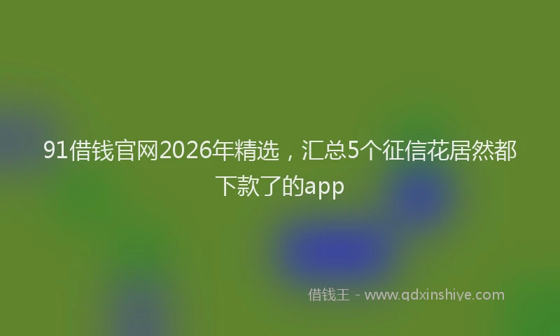 91借钱官网2026年精选，汇总5个征信花居然都下款了的app