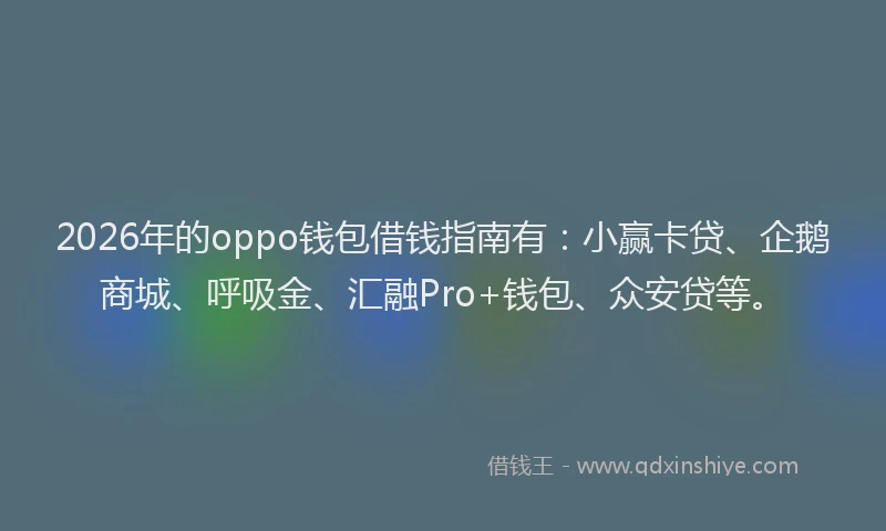2026年的oppo钱包借钱指南有：小赢卡贷、企鹅商城、呼吸金、汇融Pro+钱包、众安贷等。