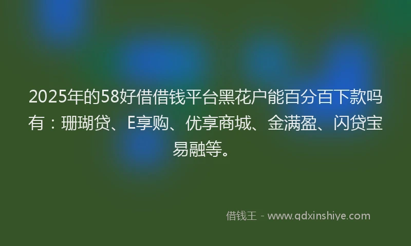 2025年的58好借借钱平台黑花户能百分百下款吗有:珊瑚贷、E享购、优享商城、金满盈、闪贷宝易融等。
