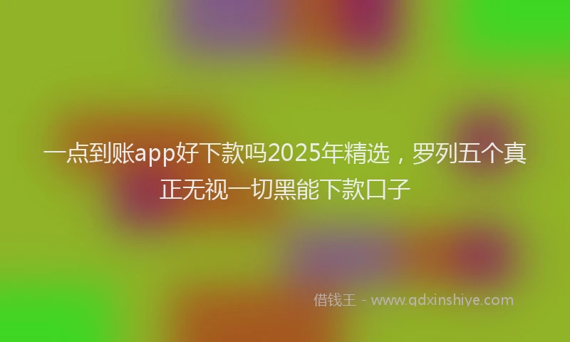 一点到账app好下款吗2025年精选，罗列五个真正无视一切黑能下款口子