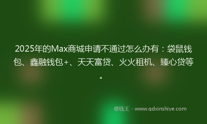 2025年的Max商城申请不通过怎么办有：袋鼠钱包、鑫融钱包+、天天富贷、火火租机、臻心贷等。