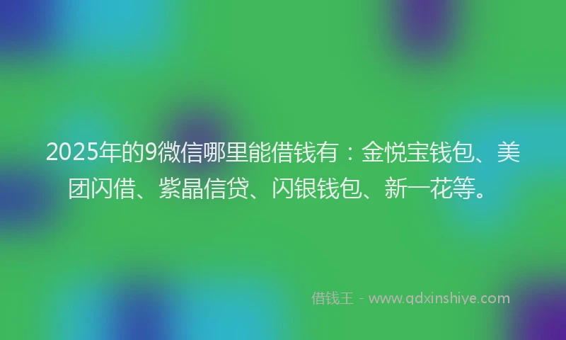 2025年的9微信哪里能借钱有：金悦宝钱包、美团闪借、紫晶信贷、闪银钱包、新一花等。