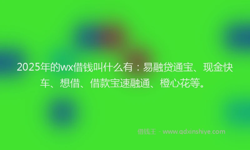 2025年的wx借钱叫什么有：易融贷通宝、现金快车、想借、借款宝速融通、橙心花等。