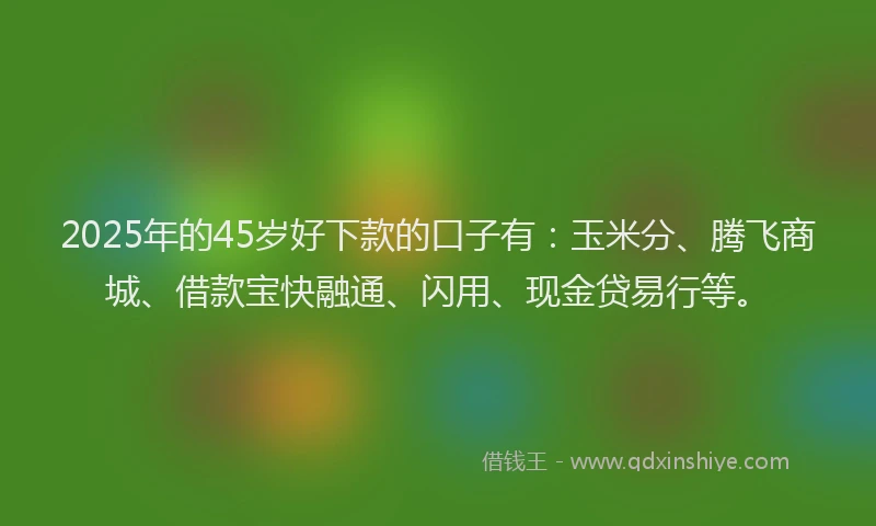 2025年的45岁好下款的口子有：玉米分、腾飞商城、借款宝快融通、闪用、现金贷易行等。