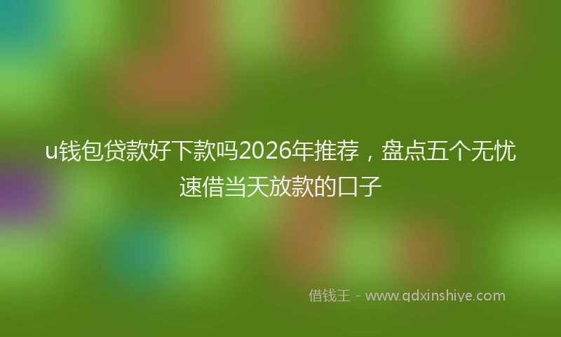 u钱包贷款好下款吗2026年推荐，盘点五个无忧速借当天放款的口子