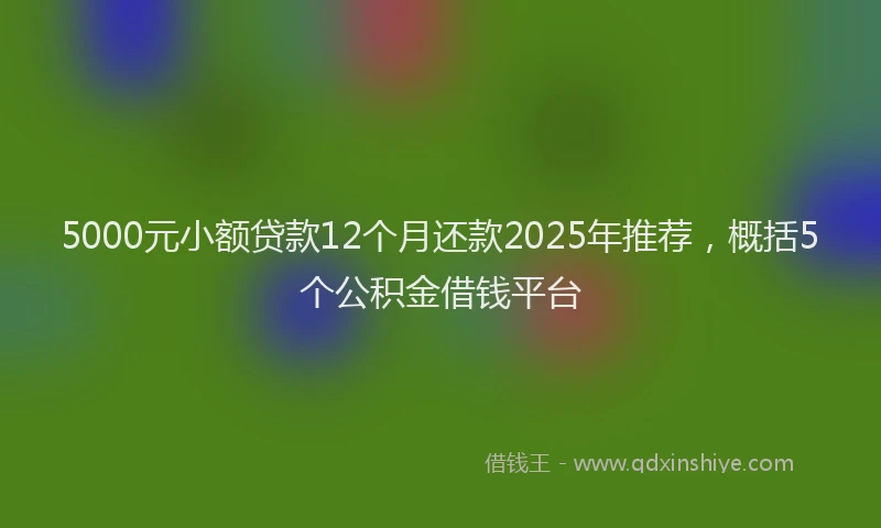 5000元小额贷款12个月还款2025年推荐,概括5个公积金借钱平台