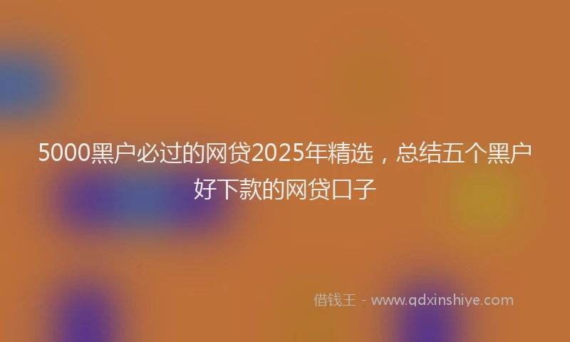 5000黑户必过的网贷2025年精选,总结五个黑户好下款的网贷口子