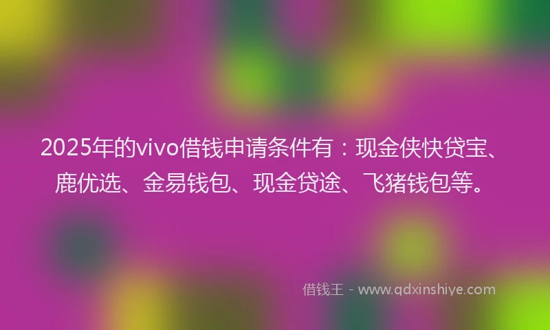2025年的vivo借钱申请条件有：现金侠快贷宝、鹿优选、金易钱包、现金贷途、飞猪钱包等。