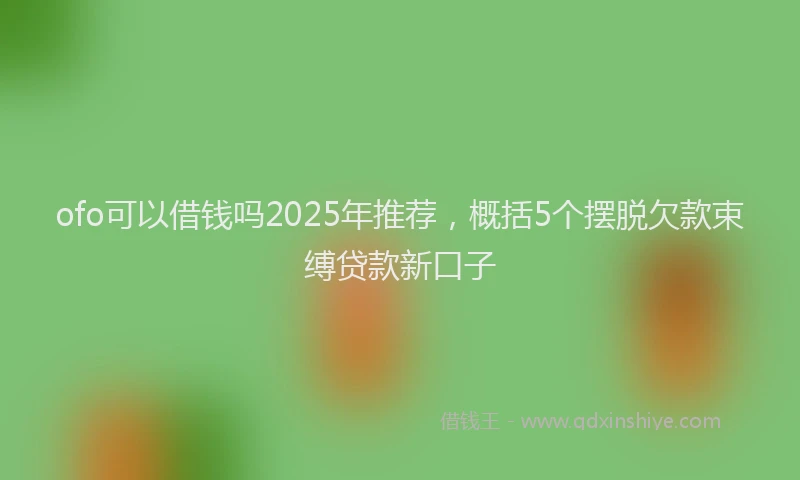 ofo可以借钱吗2025年推荐，概括5个摆脱欠款束缚贷款新口子