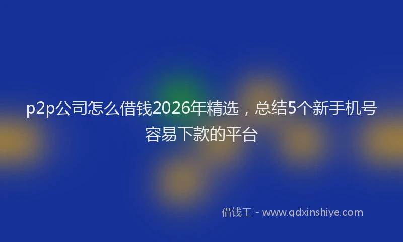 p2p公司怎么借钱2026年精选，总结5个新手机号容易下款的平台