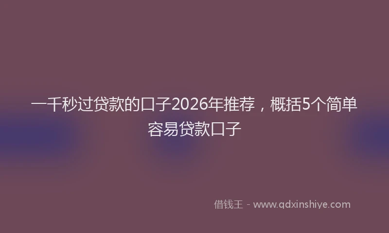 一千秒过贷款的口子2026年推荐，概括5个简单容易贷款口子