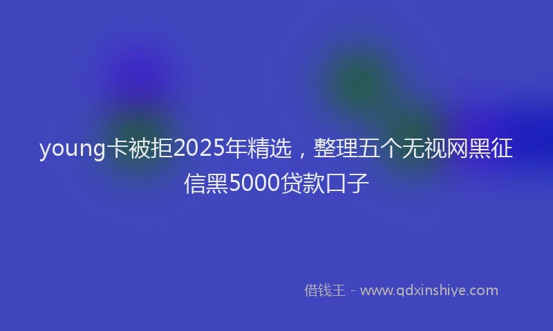 young卡被拒2025年精选，整理五个无视网黑征信黑5000贷款口子