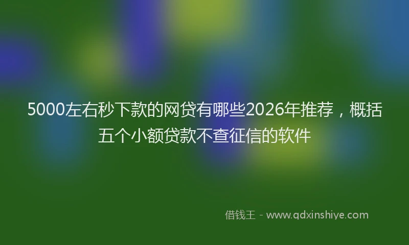 5000左右秒下款的网贷有哪些2026年推荐，概括五个小额贷款不查征信的软件