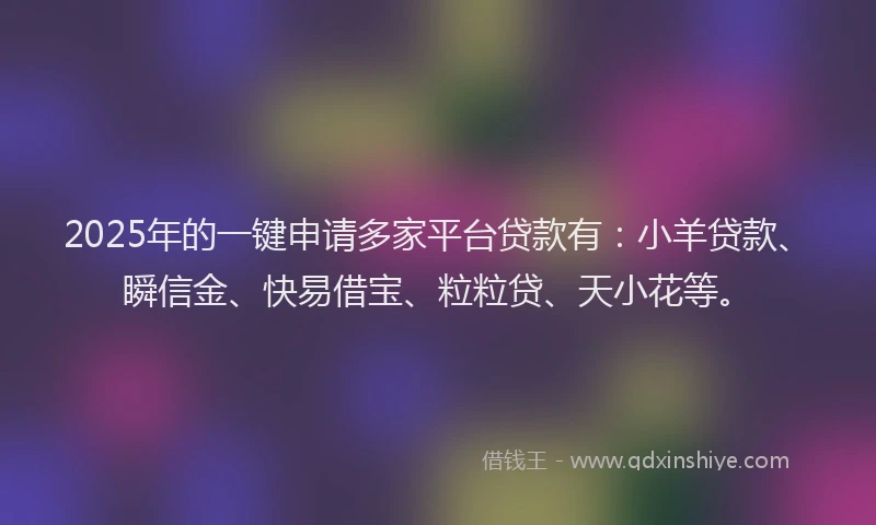2025年的一键申请多家平台贷款有：小羊贷款、瞬信金、快易借宝、粒粒贷、天小花等。