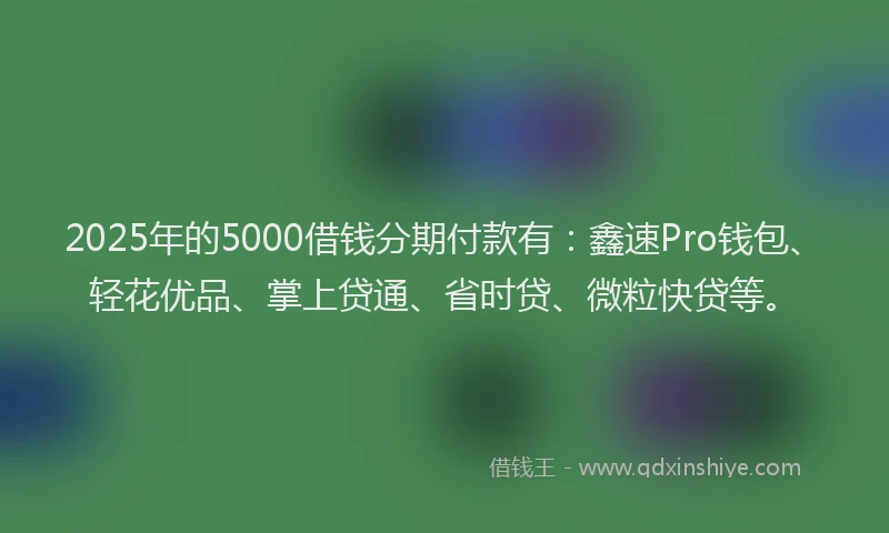 2025年的5000借钱分期付款有：鑫速Pro钱包、轻花优品、掌上贷通、省时贷、微粒快贷等。