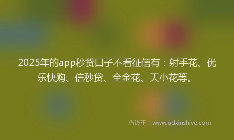 2025年的app秒贷口子不看征信有:射手花、优乐快购、信秒贷、全金花、天小花等。
