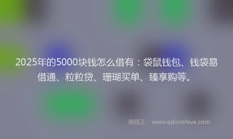 2025年的5000块钱怎么借有：袋鼠钱包、钱袋易借通、粒粒贷、珊瑚买单、臻享购等。