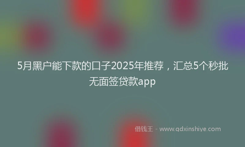 5月黑户能下款的口子2025年推荐，汇总5个秒批无面签贷款app