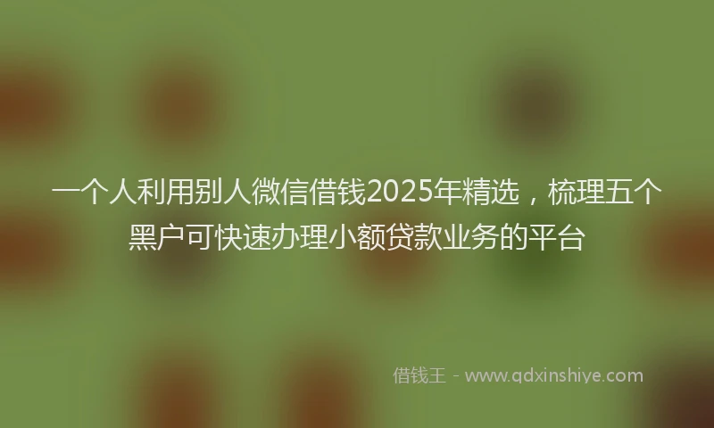 一个人利用别人微信借钱2025年精选，梳理五个黑户可快速办理小额贷款业务的平台