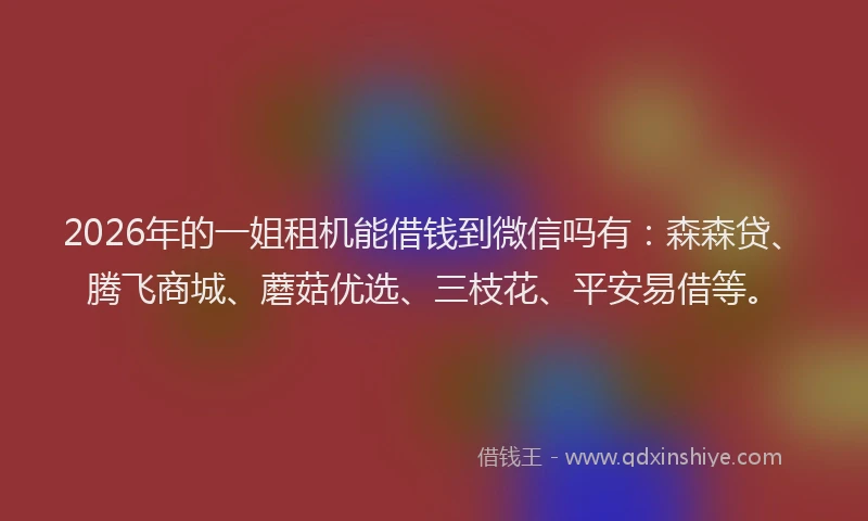 2026年的一姐租机能借钱到微信吗有：森森贷、腾飞商城、蘑菇优选、三枝花、平安易借等。