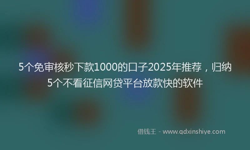 5个免审核秒下款1000的口子2025年推荐,归纳5个不看征信网贷平台放款快的软件