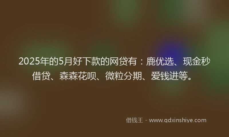 2025年的5月好下款的网贷有:鹿优选、现金秒借贷、森森花呗、微粒分期、爱钱进等。