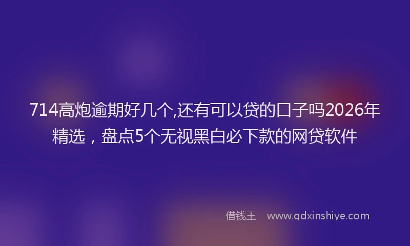 714高炮逾期好几个,还有可以贷的口子吗2026年精选，盘点5个无视黑白必下款的网贷软件