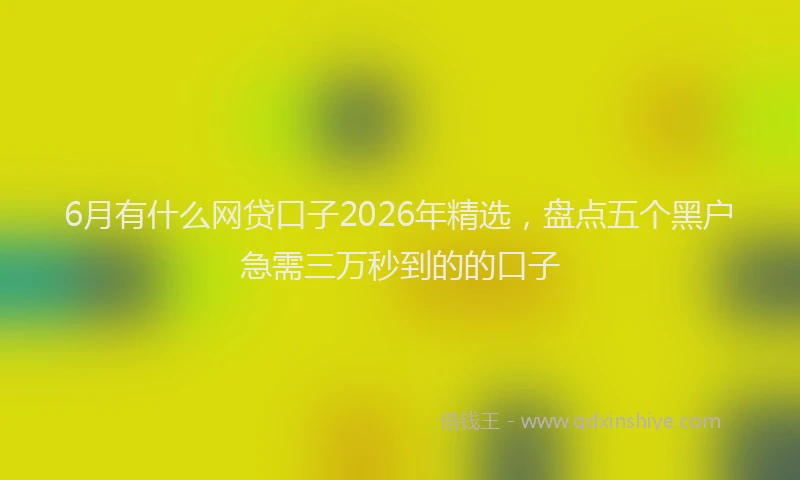 6月有什么网贷口子2026年精选,盘点五个黑户急需三万秒到的的口子