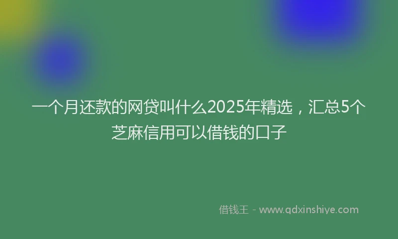 一个月还款的网贷叫什么2025年精选,汇总5个芝麻信用可以借钱的口子