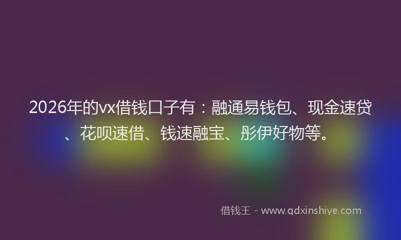 2026年的vx借钱口子有：融通易钱包、现金速贷、花呗速借、钱速融宝、彤伊好物等。