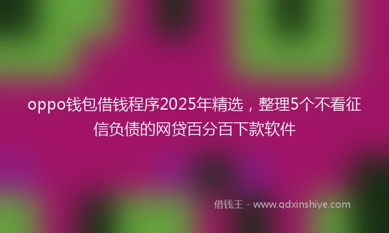 oppo钱包借钱程序2025年精选，整理5个不看征信负债的网贷百分百下款软件