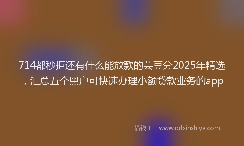 714都秒拒还有什么能放款的芸豆分2025年精选，汇总五个黑户可快速办理小额贷款业务的app