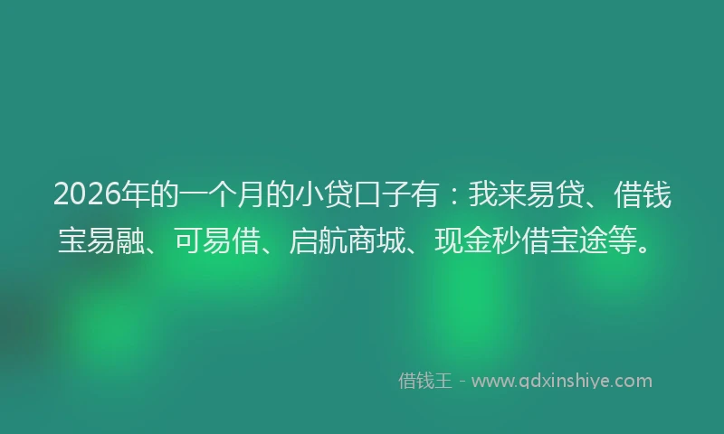 2026年的一个月的小贷口子有：我来易贷、借钱宝易融、可易借、启航商城、现金秒借宝途等。
