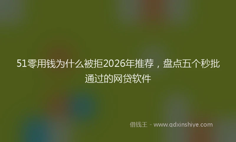 51零用钱为什么被拒2026年推荐，盘点五个秒批通过的网贷软件