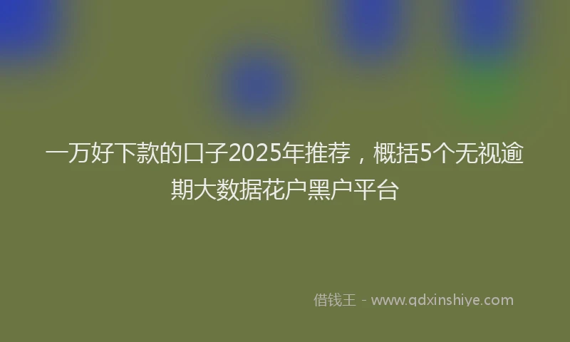 一万好下款的口子2025年推荐，概括5个无视逾期大数据花户黑户平台