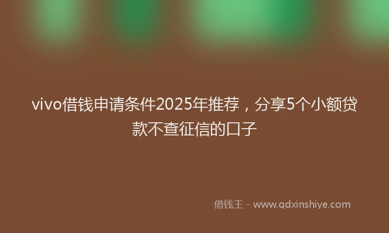 vivo借钱申请条件2025年推荐，分享5个小额贷款不查征信的口子