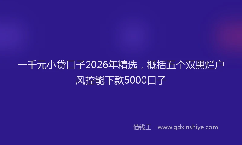 一千元小贷口子2026年精选，概括五个双黑烂户风控能下款5000口子