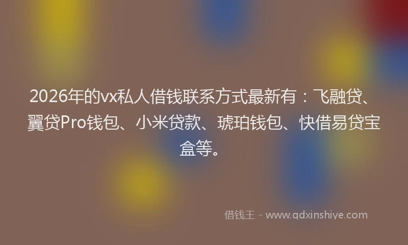 2026年的vx私人借钱联系方式最新有：飞融贷、翼贷Pro钱包、小米贷款、琥珀钱包、快借易贷宝盒等。