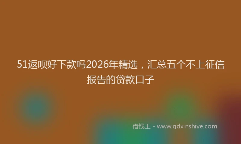 51返呗好下款吗2026年精选，汇总五个不上征信报告的贷款口子