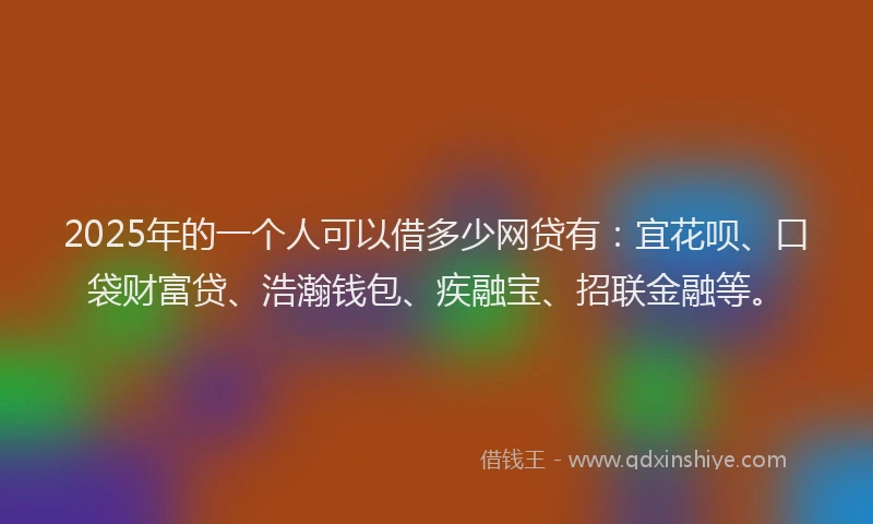 2025年的一个人可以借多少网贷有：宜花呗、口袋财富贷、浩瀚钱包、疾融宝、招联金融等。